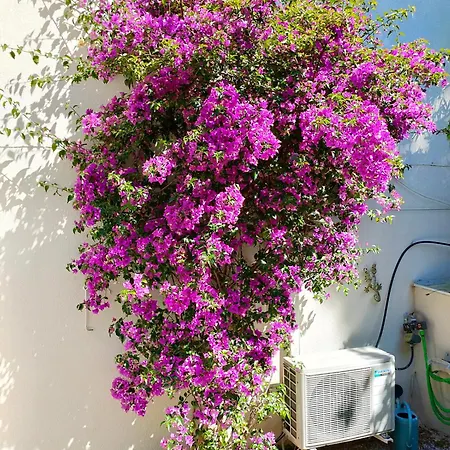 Le Corail - Coin Nuit - Jardin - Parking - Clim Cassis